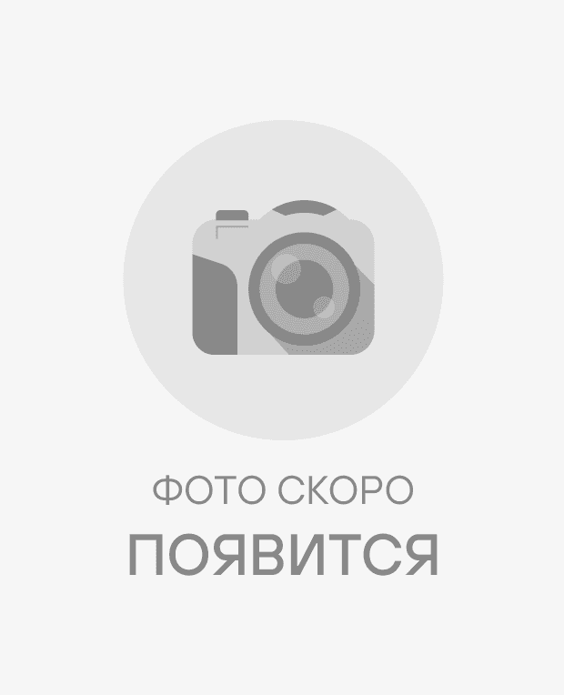 Тапки чоловічі сині  ALICANTE 6891345.9409 - #1