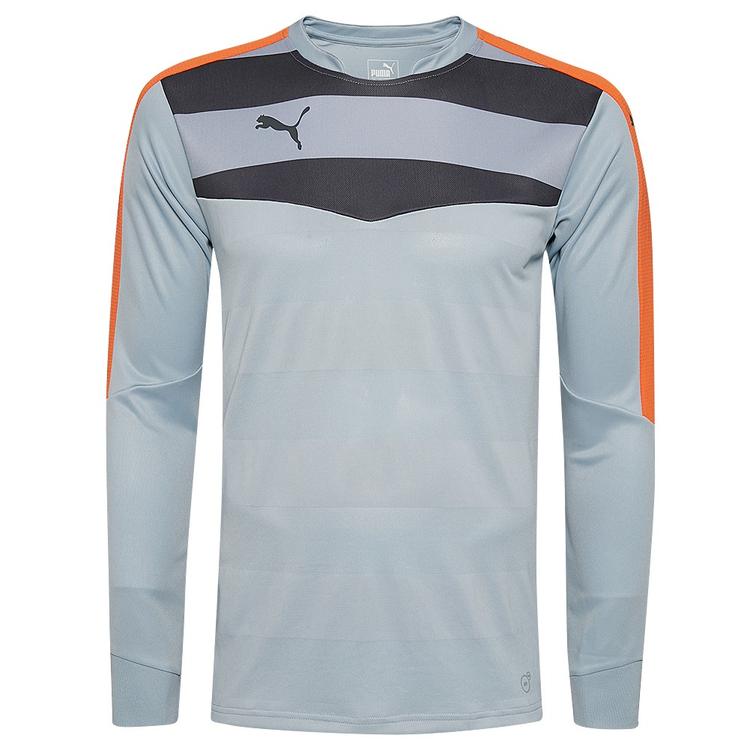 Мужской вратарский реглан PUMA Stadium GK 702089-35, Серый, Размер (EU) - L - #1