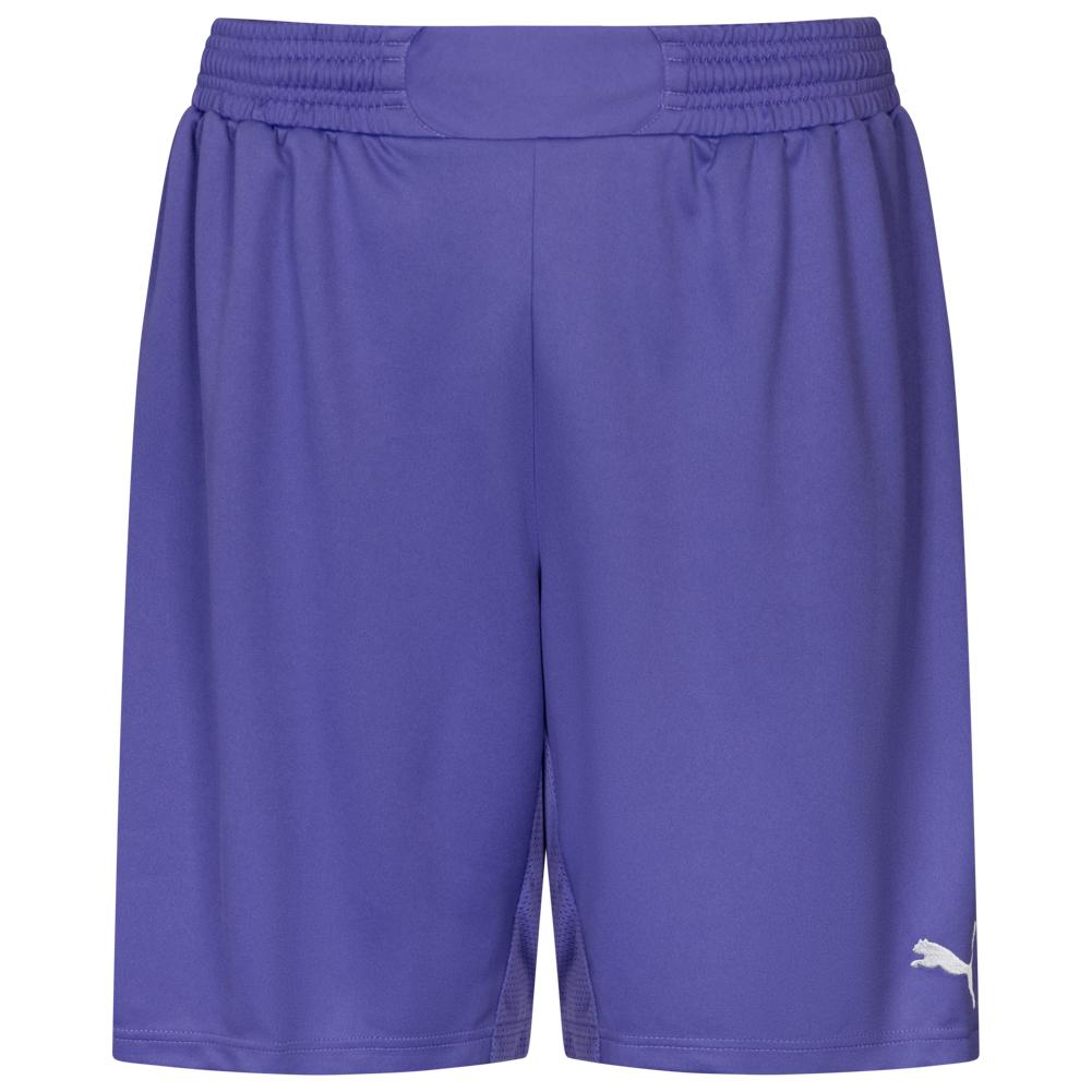 Вратарские шорты PUMA PowerCat 5.1 701202-46, Фиолетовый, Размер (EU) - 52/54 - #0