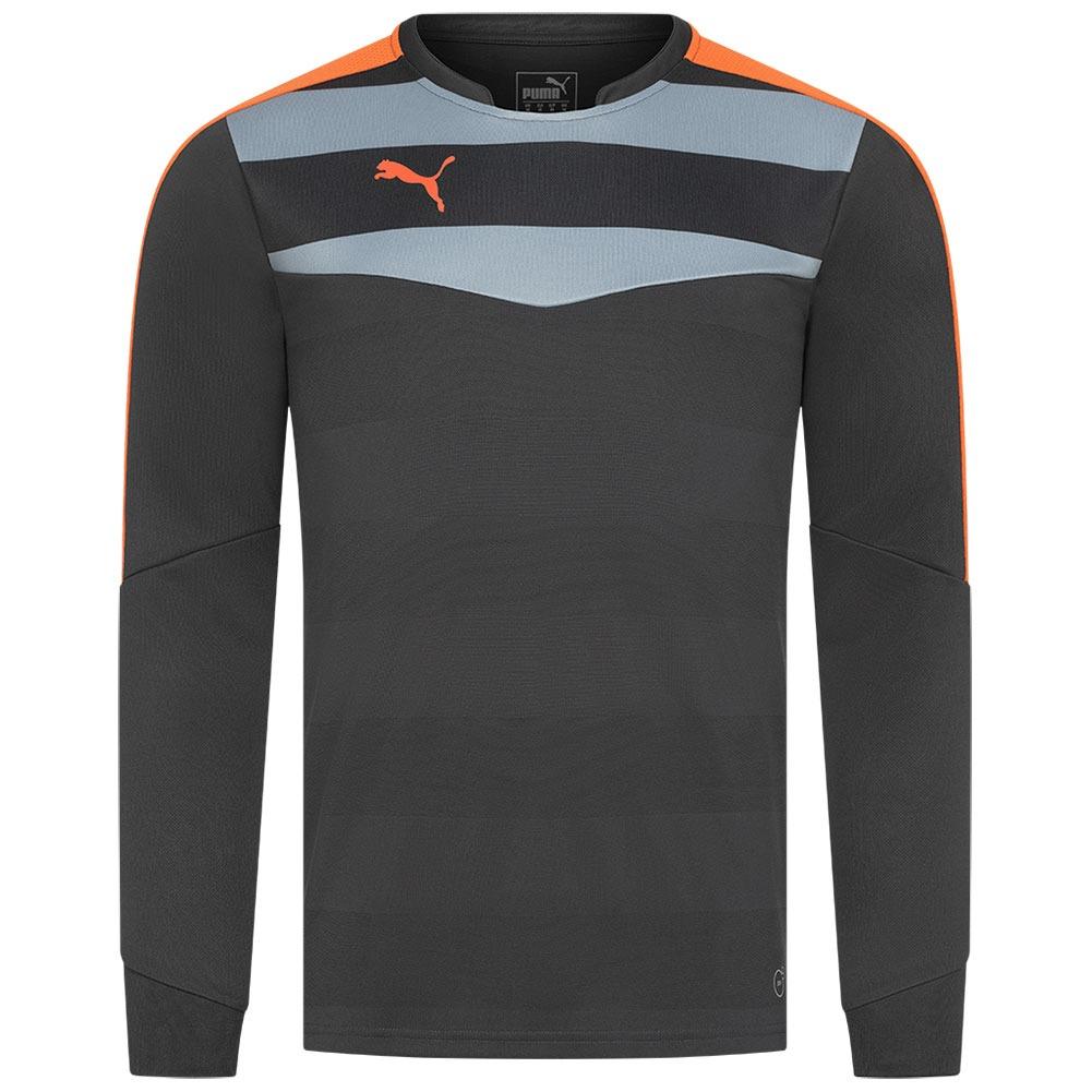 Мужской вратарский реглан PUMA Stadium GK 702089-33, Серый, Размер (EU) - L - #0
