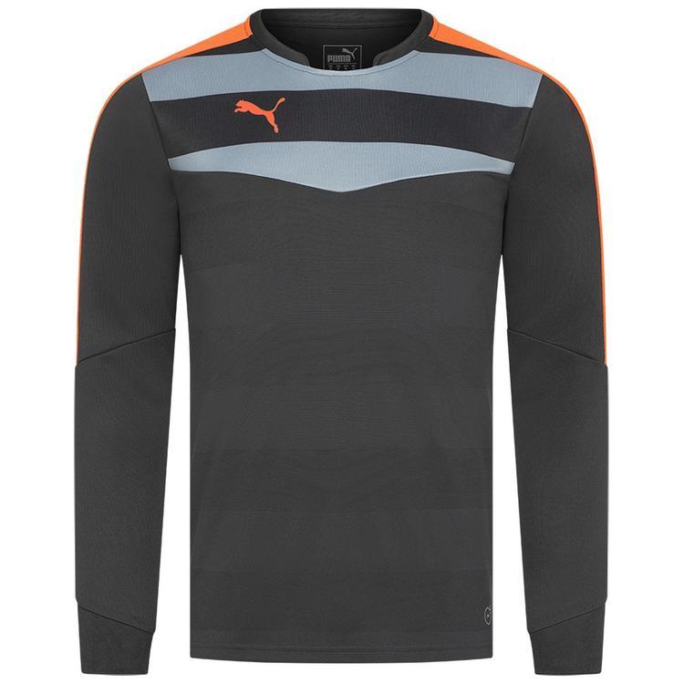 Мужской вратарский реглан PUMA Stadium GK 702089-33, Серый, Размер (EU) - L - #1