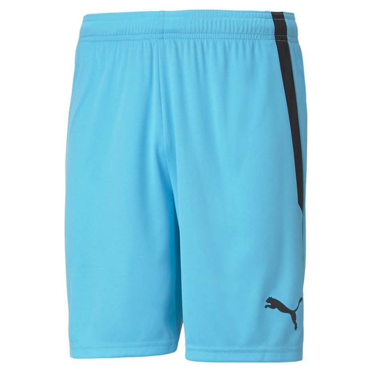 Шорты мужские Puma Teamliga Shorts Light Blue 704924-40, Голубой, Размер (EU) - L - #1